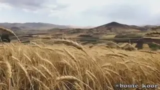 انگیزشی