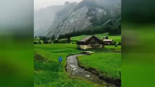 آرامشی اینچنین تقدیمتان...آواز خوشبختی سر بده امروزت قطعا زیباست💗🌸🌼