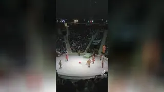 حرکات نمایشی