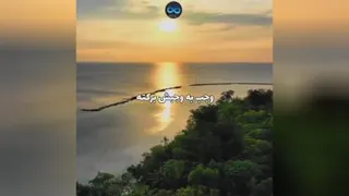 شکر گذاری