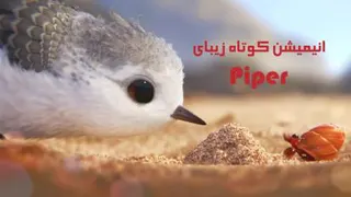 انیمیشن کوتاه Piper