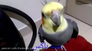 فندق