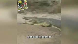 دهنش سرویس