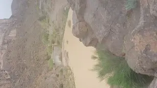 روحشون شاد و یادشون گرامی😂