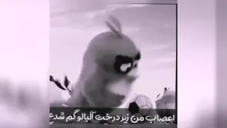 کلیپ برای وضعیت
