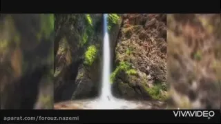 جنگل فند قلو