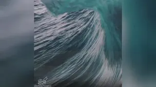 همایون‌شجریان