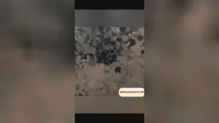 قسمت اول تپه سیلک