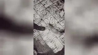 بازار روز بابلسر