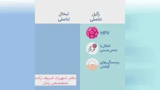 جراح زیبایی زنان و لیزر زنان,نازایی ,زایمان متخصص زنان و زایمان دکتر شهزاد شریف زاده