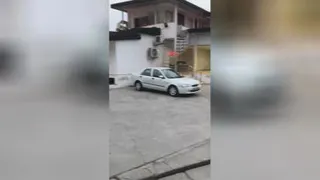 اتو قربانی ساری