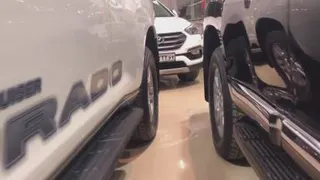 اتو قربانی ساری