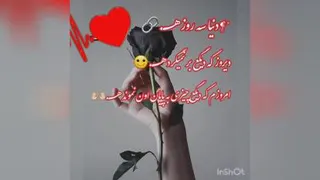 دنیا سه روزه