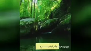 دوستان آمده ام باز...