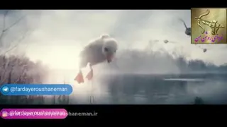 رویاهاتو دنبال کن