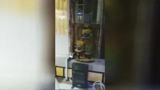 روف گاردن
