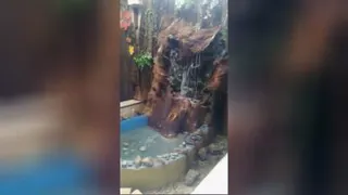 کلبه کودک