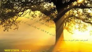 مدیر راست کردار