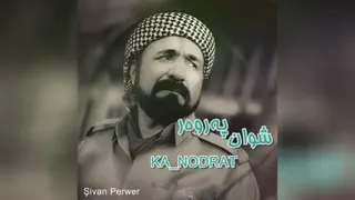 موسیقی