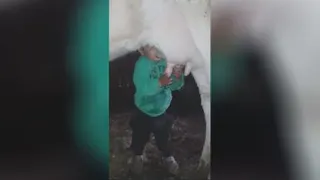 رزق بی شمار
