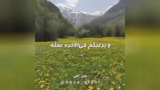 بهترین همنشین