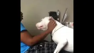 طنز