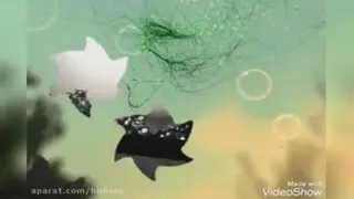 وقتی دلم عاشق میشه