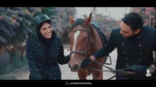 چی از این بهتر