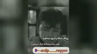 عضو ما شو کامنت بزار لایک