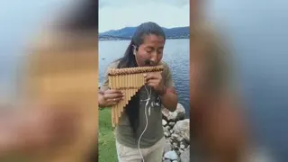 Music موسیقی