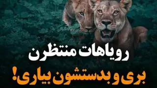 رویاهات منتظرن بری و بهشون برسی