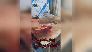 روش صحیح خورد کردن ماهی