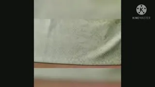 لگ زنانه