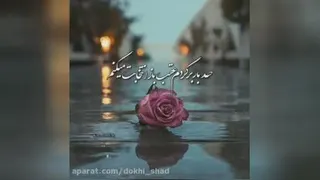 آهنگ زیبا میثم ابراهیمی