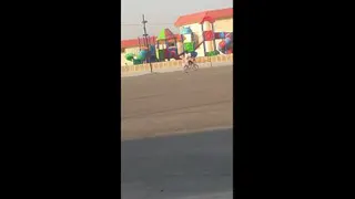 دوچرخه سواری دخترم درپارک