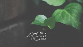 خدایا شکرت ❤️