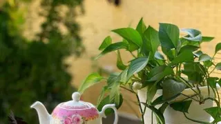 زندگی زیبا