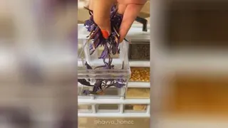 🥰باصدا گوش کنید