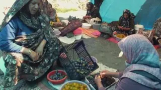 آلوی شمس _روستای کلاته _آهن