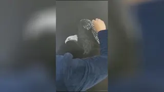 نقاشی عقاب