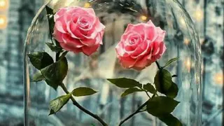 نمونه ازعشق