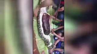 خوردن انسان توسط مار
