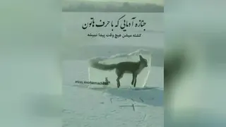 دل شگسته
