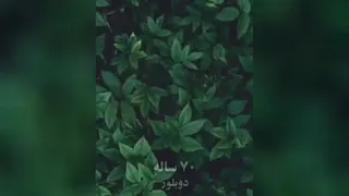 صداهای ماندگار کارتون زیبای پسر شجاع ‌‎‌‌‎‌‎‌‌‎