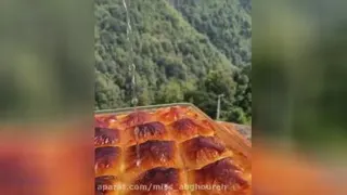 طبیعت بکر و زیبا