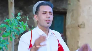 بهترین گروه موسیقی زنده محلی در شیراز و آباده