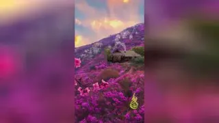 طبیعت شگفت انگیز