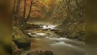 کلیپ زیبای ظهور__مهدی صاحب عصر