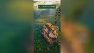 عقابها بیدار شدند