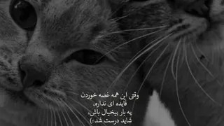 بی خیال غصه و اجازه بده که هر ثانیه حالت کاملاً خوب باشه